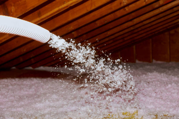 Best Spray Foam Insulation  in Laurel Hill, NC