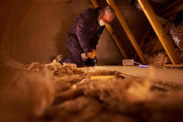 Best Energy-efficient Insulation  in Laurel Hill, NC
