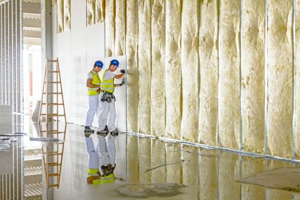 Best Insulation Contractor Near Me  in Laurel Hill, NC
